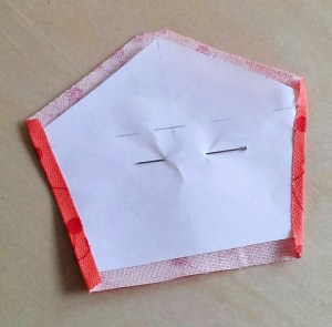 IMAG5060_1